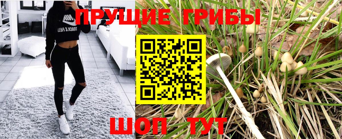 Псилоцибиновые грибы Psilocybe Первоуральск