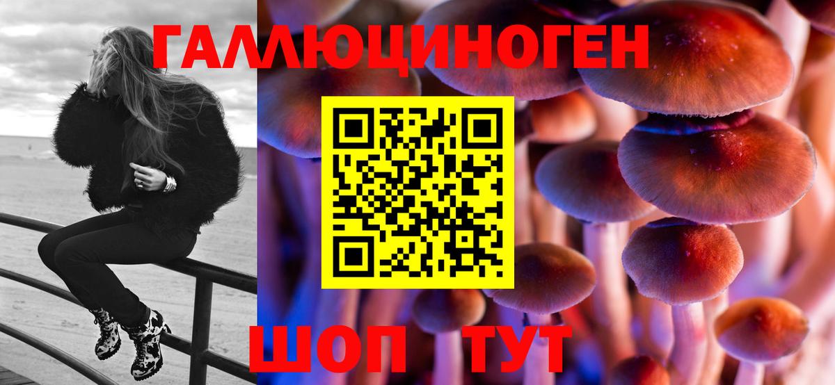 Галлюциногенные грибы MAGIC MUSHROOMS  Вход с VPN  Первоуральск 